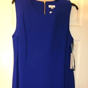 Blue sleeveless dress